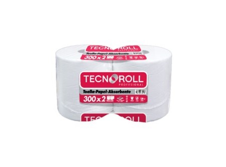  TOALLA PAPEL  2 ROLL.300 MT. TECNOROLL H/S 