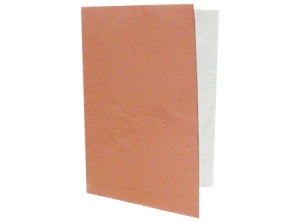  CARPETA PLASTIFICADA BEIGE CTE 