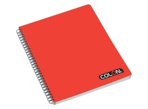  CUADERNO UNIV. E/D 100 HJ M7 LISO COLON 