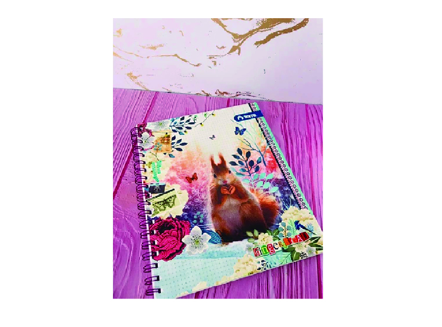  CUADERNO UNIV. E/D 100 HJ M7 TORRE T/D GINGER&BR 