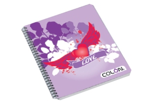  CUADERNO UNIV. E/D 100 HJ M7 COLON FEMENINO 