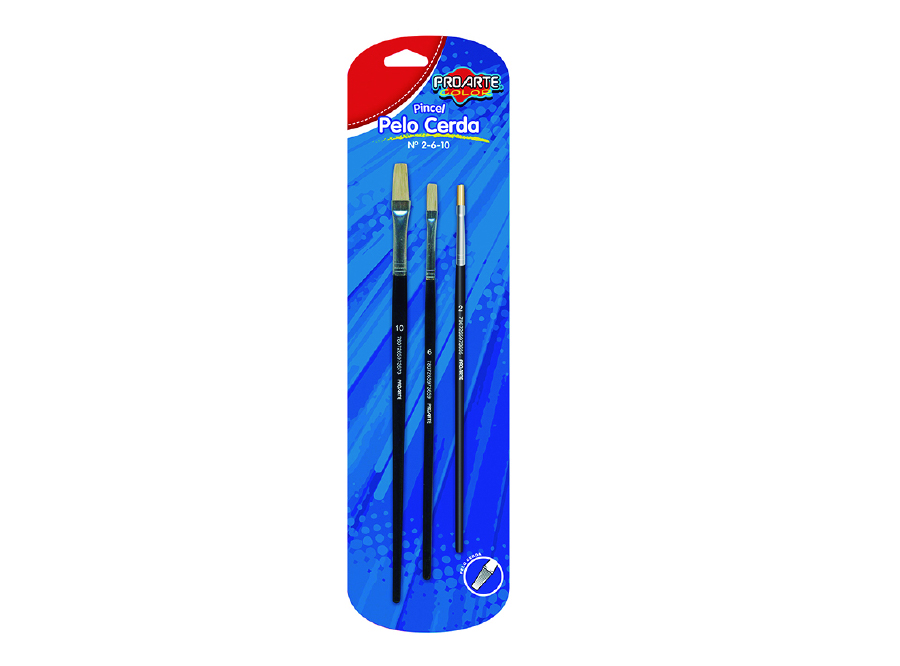  PINCEL SET PELO CERDA PLANO N. 2-6-10 
