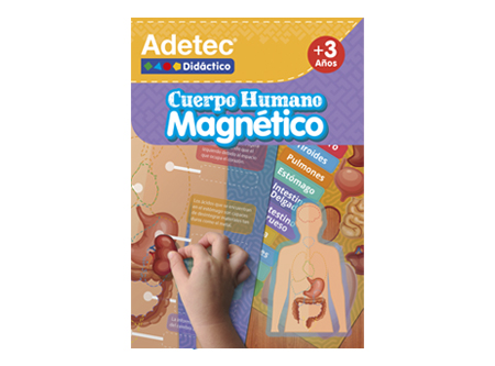  DIDACTICO ADETEC CUERPO HUMANO MAGNET. LAM/INTERAC 