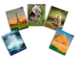  CUADERNO UNIV. E/D 100 HJ M7 ROSS ANIMAL & PLACE 