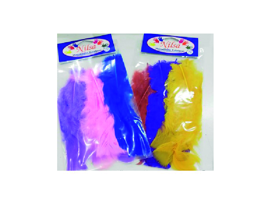  PLUMAS COLORES SURTIDOS PQ X 12 BOLSAS NILSA 