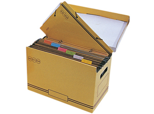  CAJA EURO-BOX #07 C.COLGANTE 37X20X26.5 + 2 GUIAS 