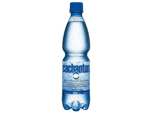  AGUA MINERAL CACHANTUN 600 CC DESECH C/GAS 
