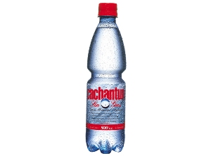  AGUA MINERAL CACHANTUN 600 CC DESECH S/GAS 